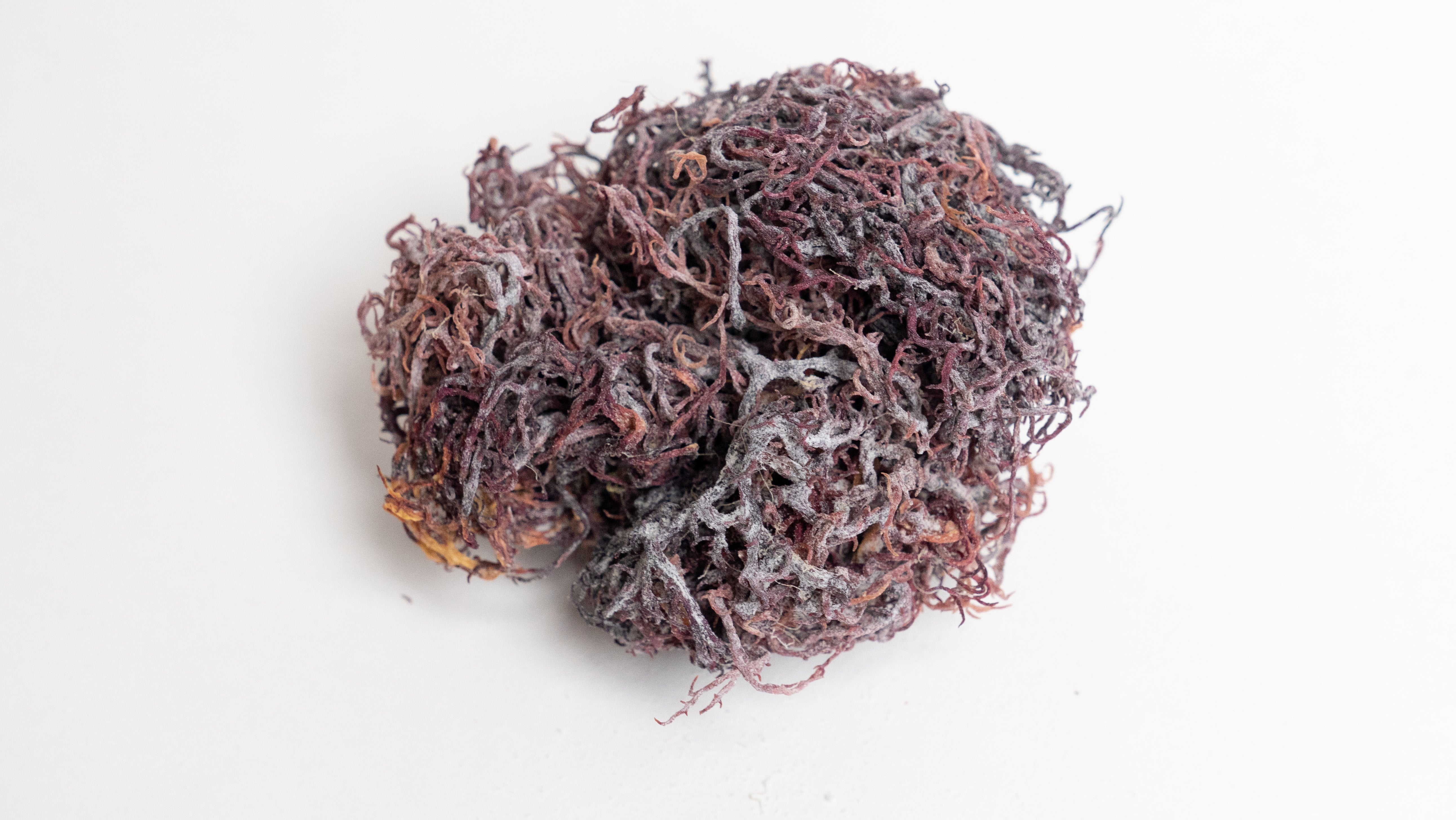 raw sea moss
