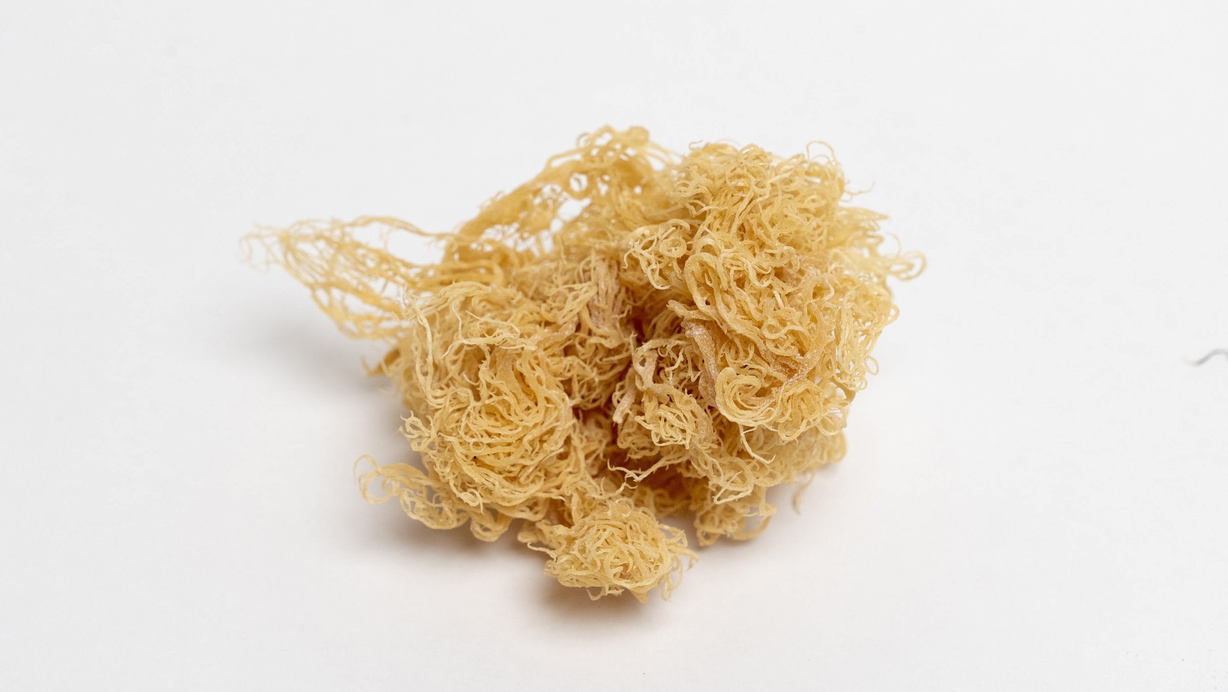 sea moss