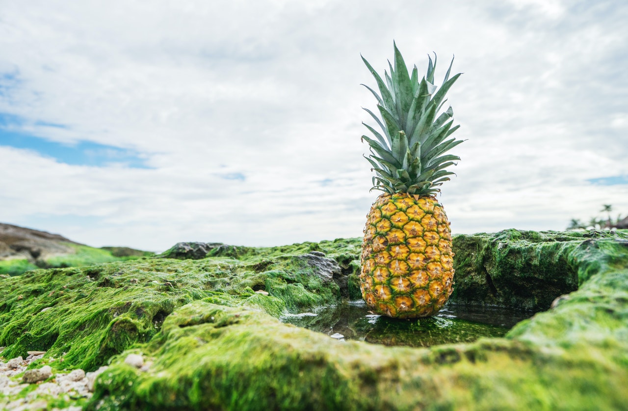 pineapple in sea moss