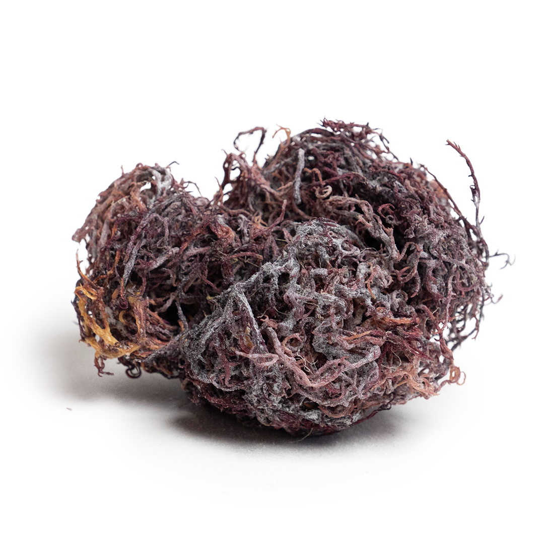 PURPLE WILDCRAFTED SEA MOSS