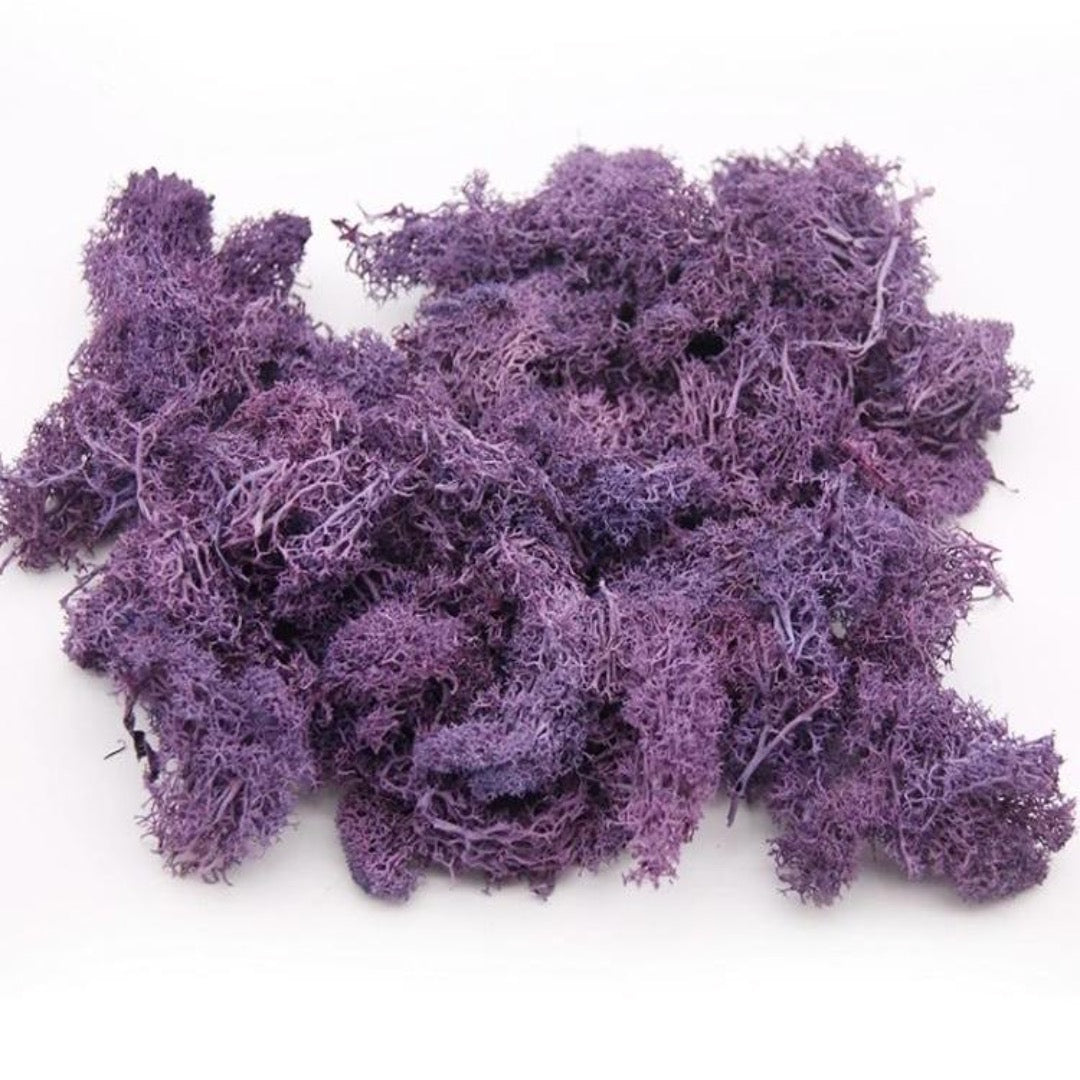 PURPLE WILDCRAFTED SEA MOSS (10lb)