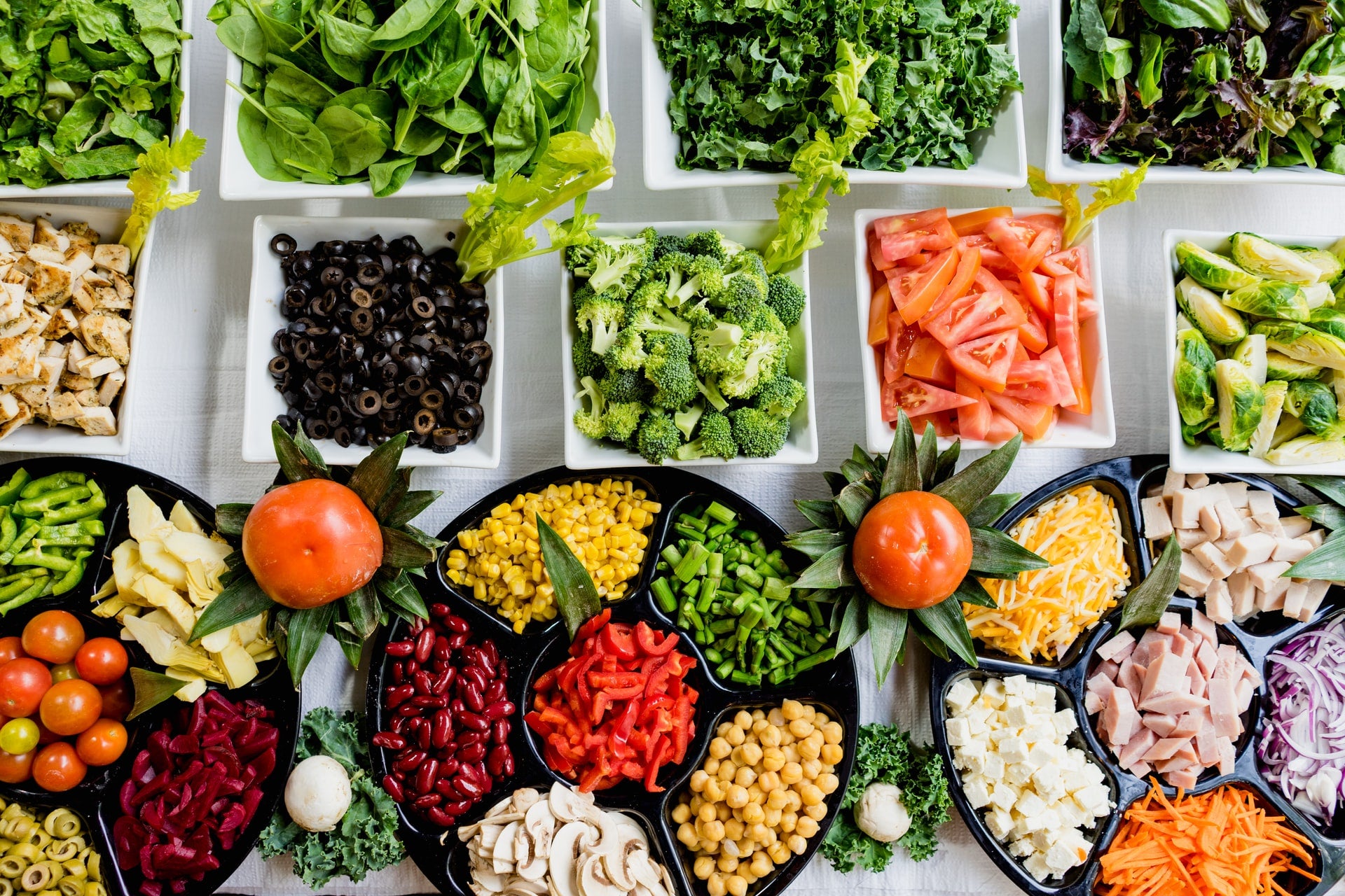 Plant-Based Diet