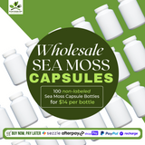 100 SEA MOSS CAPSULES -WHOLESALE (NO LABEL)