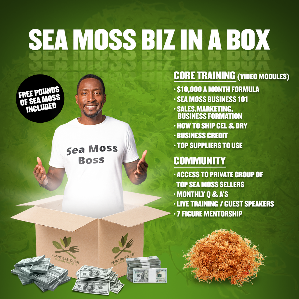 Gold Sea Moss Biz in a Box (Free 5 Pounds Starter Bundle)* – Plant